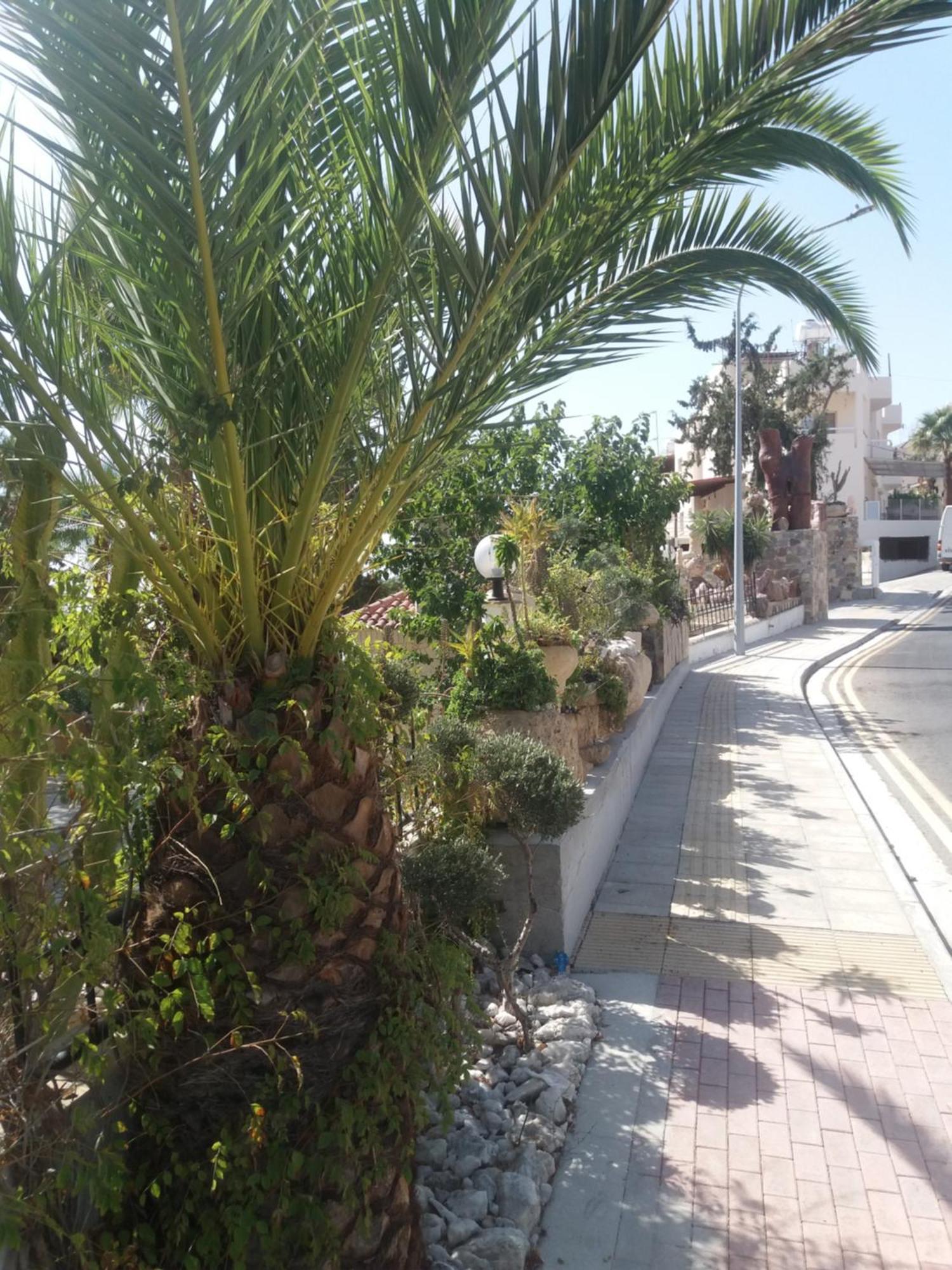 Greenfields Country Club Limassol Bagian luar foto